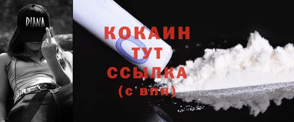 соль ск Чекалин