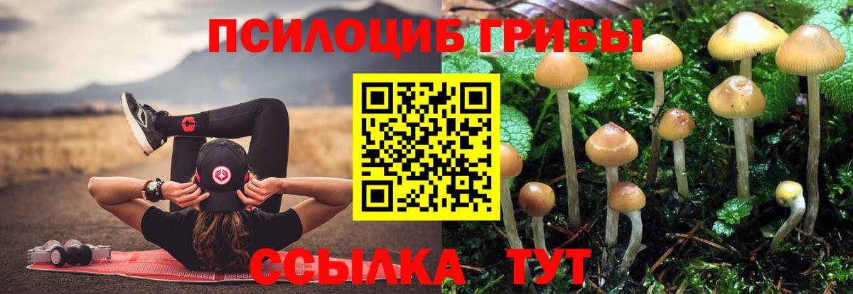 Псилоцибиновые грибы Magic Shrooms  Вход с VPN  купить наркоту  Галлюциногенные грибы мицелий  Гагарин 